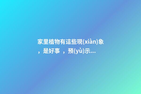 家里植物有這些現(xiàn)象，是好事，預(yù)示你家要發(fā)大財(cái)了！
